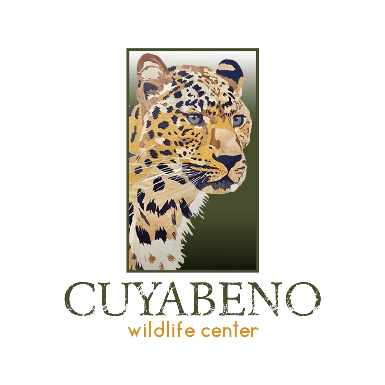 Cuyabeno Reserve Vs. Yasuni National Park: Which One To Choose