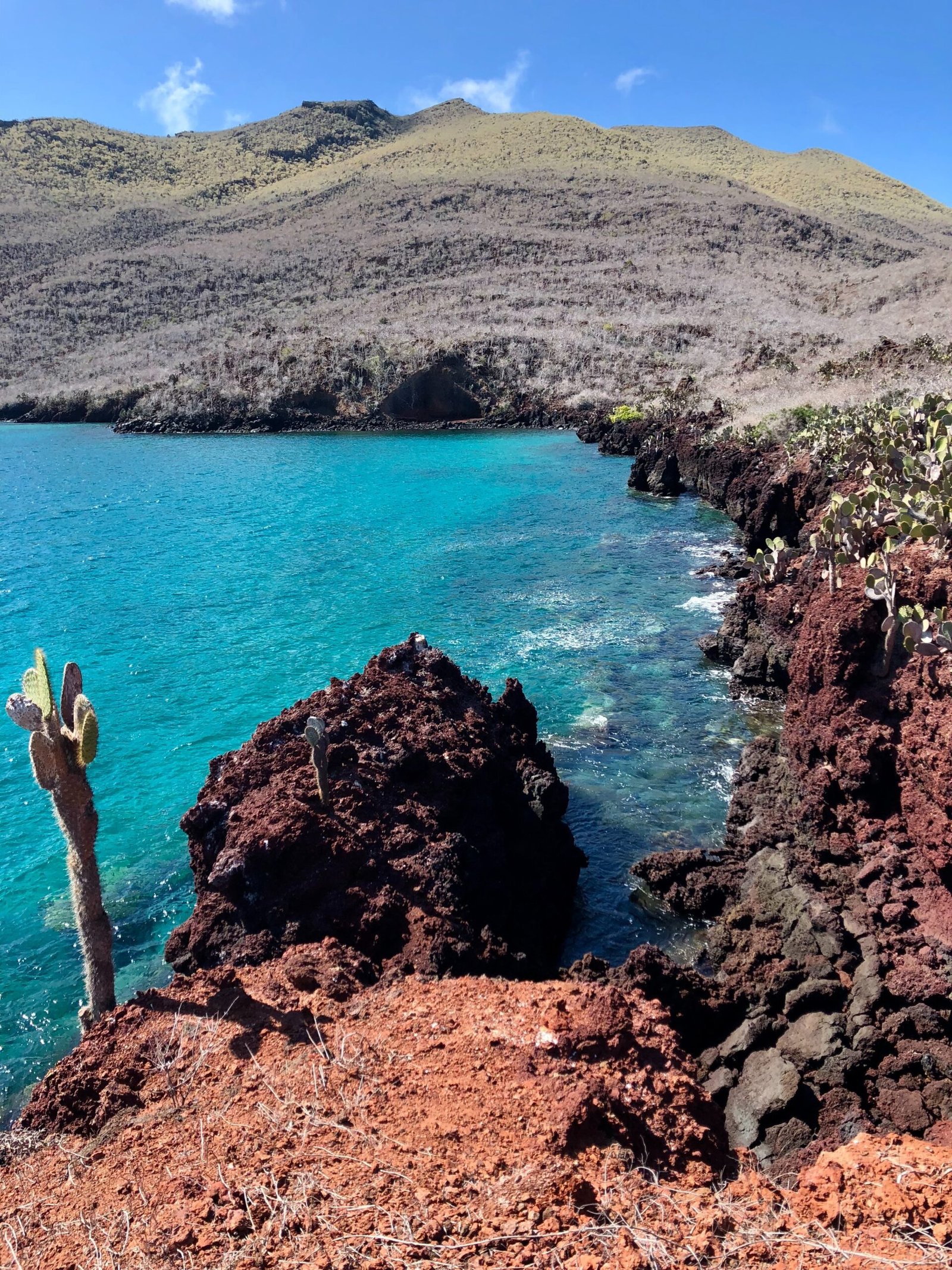 galapagos-checklist