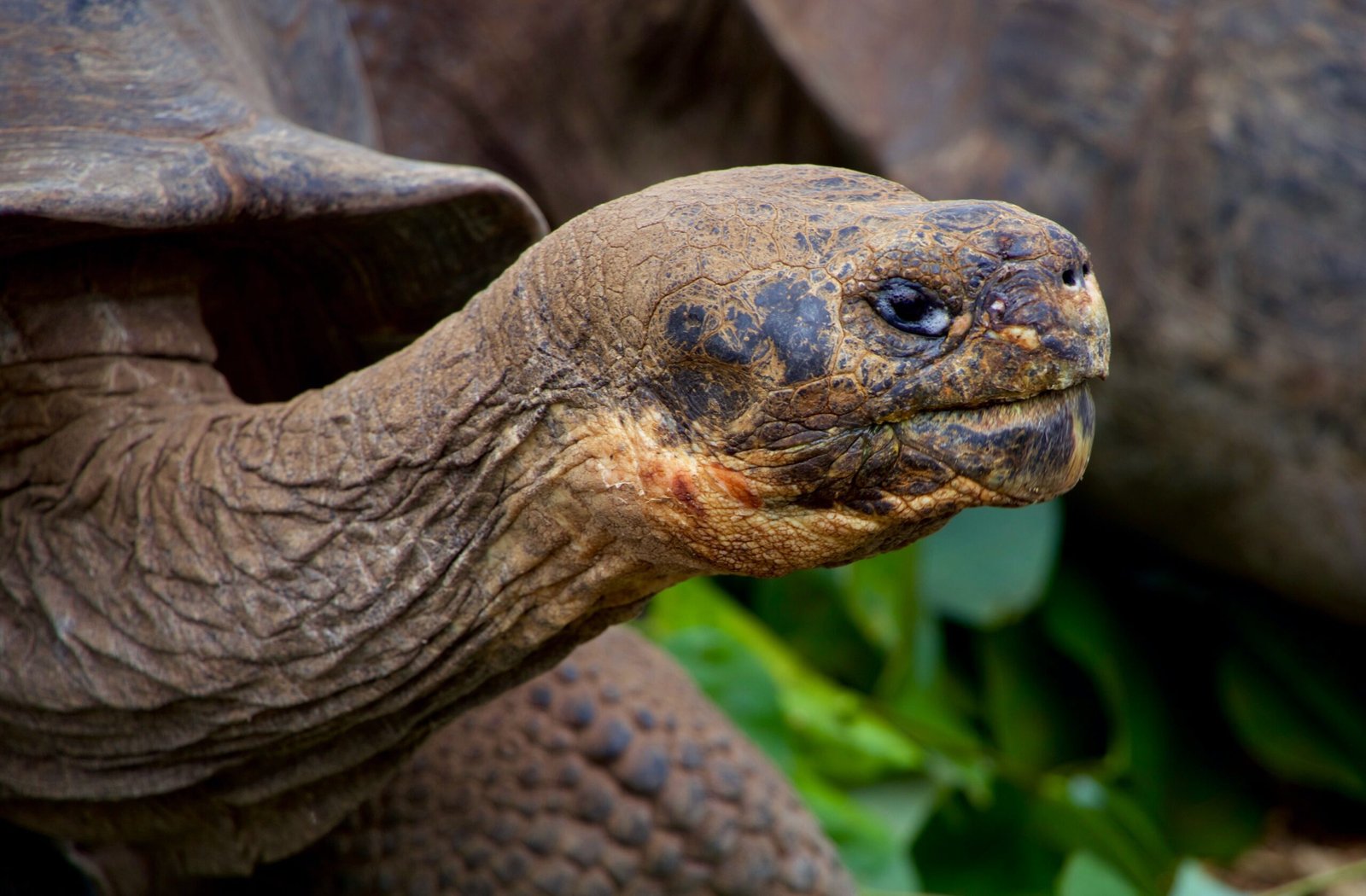 6-day-galapagos-tour