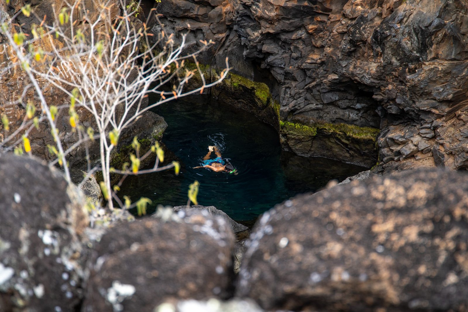 Galapagos-islands-land-tours