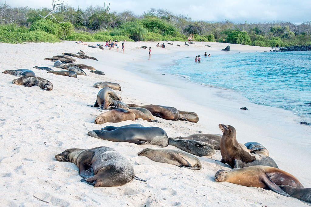 6-day-galapagos-land-tour