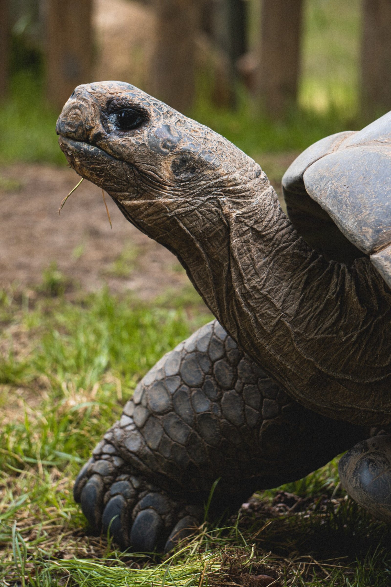 what-to-bring-galapagos